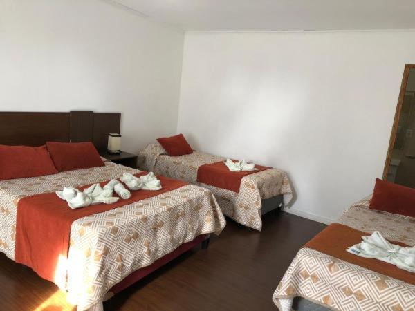 فندق كومبليخو لاديراس ديل سيرو Piriápolis المظهر الخارجي الصورة